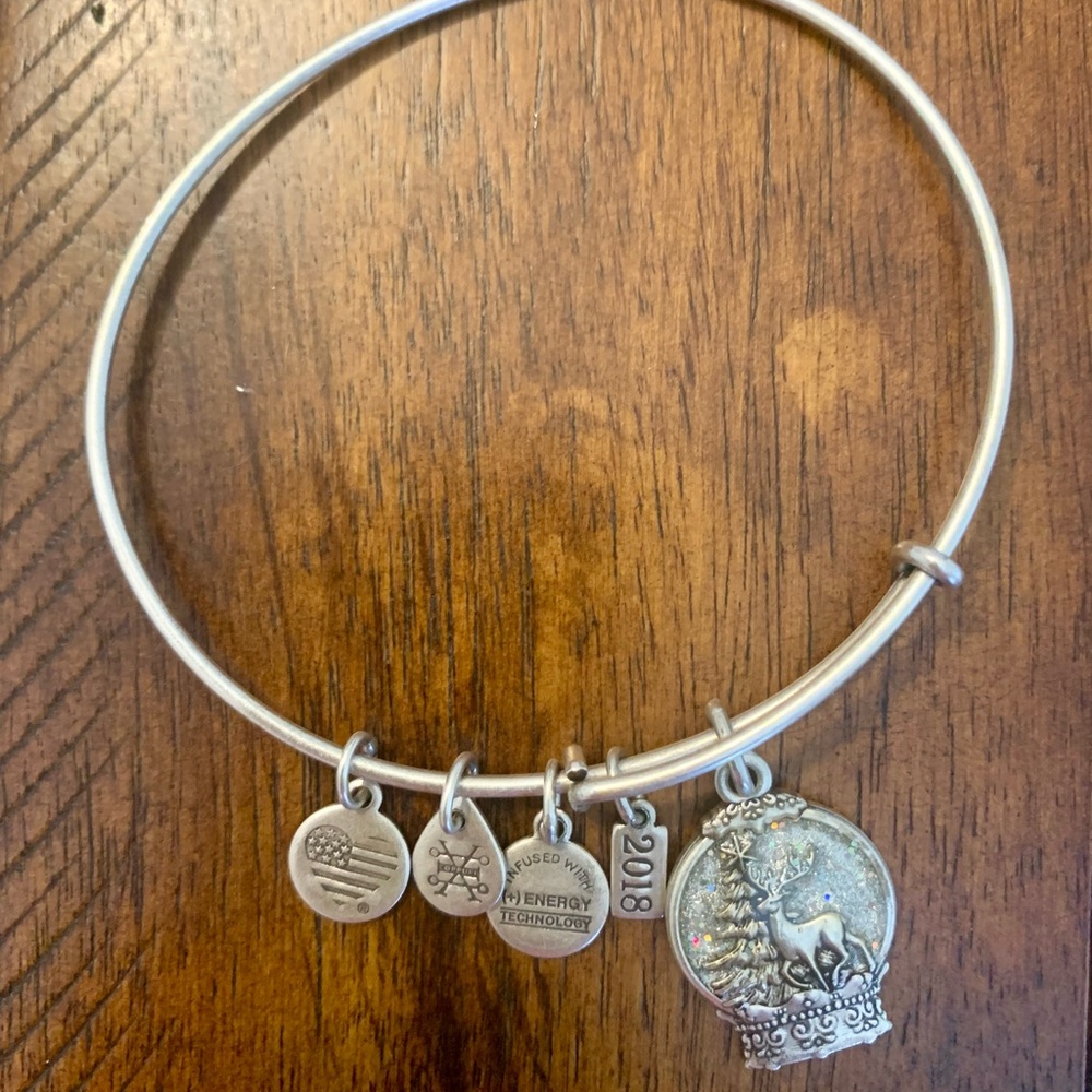 Alex and Ani Snowglobe Bracelett